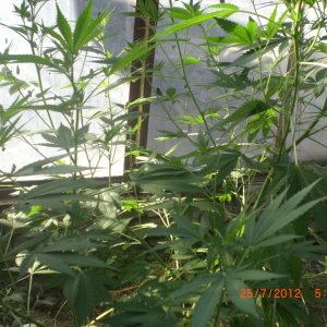 CIMG2372
