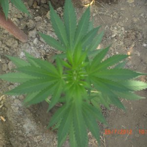 CIMG2400