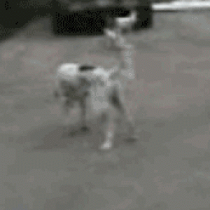 убил