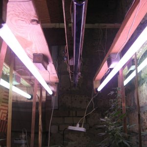 IMG 0482