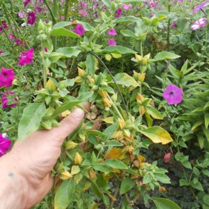 DSCN1139