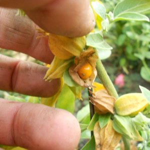 DSCN1140