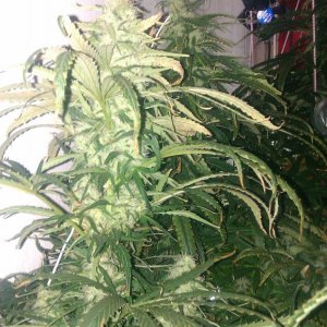 IMAG0257