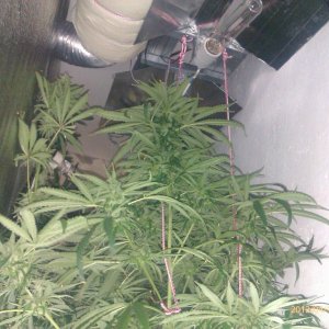IMAG0242