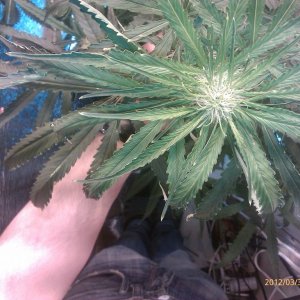 IMAG0157