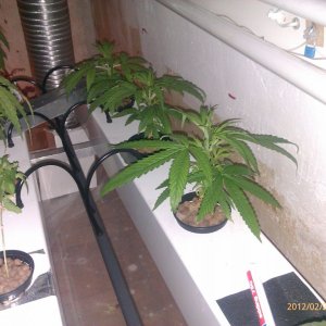IMAG0092