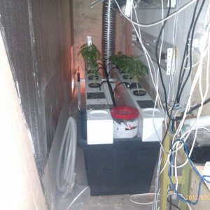 IMAG0088