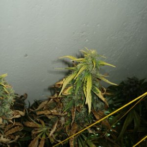 DSC01262
