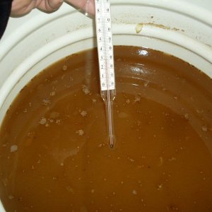 SDC10087 новый размер
