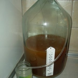 SDC10088 новый размер