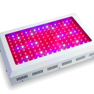 led300w