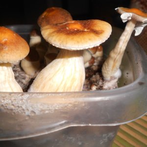 DSCN1147