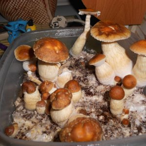 DSCN1148