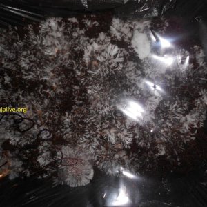 DSCN1149