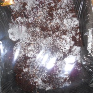 DSCN1150