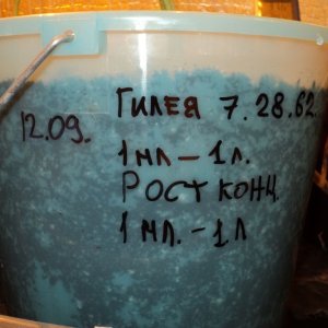 пп