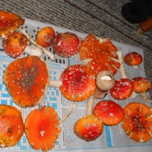 DSCN1166