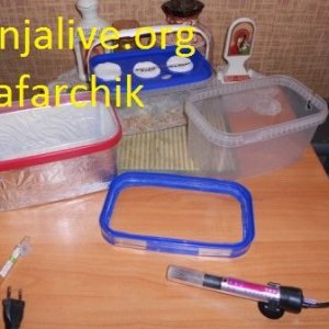 DSCN1301
