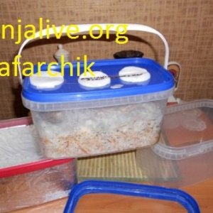 DSCN1302