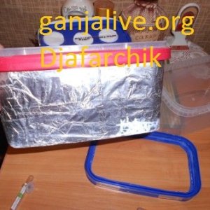 DSCN1303