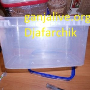 DSCN1304
