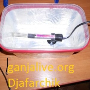 DSCN1307
