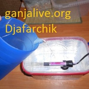 DSCN1309