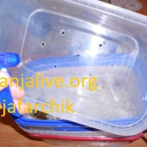 DSCN1312