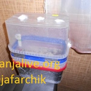 DSCN1313