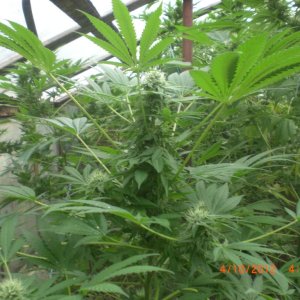 CIMG2389