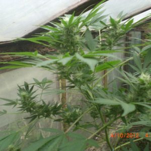 CIMG2391
