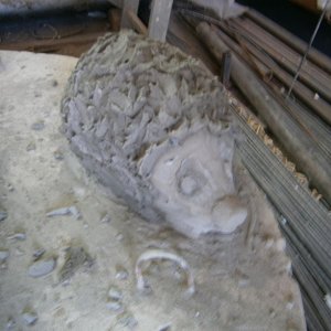 P7030252