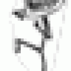 furanimdance