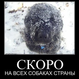 foto417 20