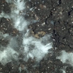 CameraZOOM 20121113190837035