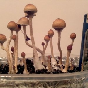 IMG 20121125 174145