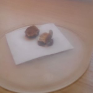 DSCN1388