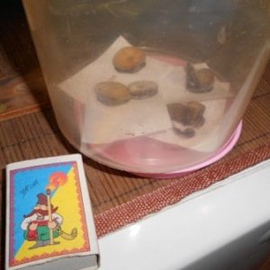 DSCN1434
