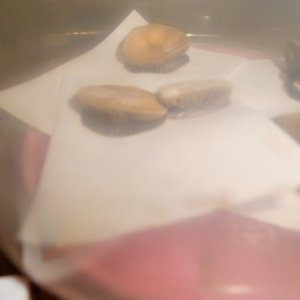 DSCN1435