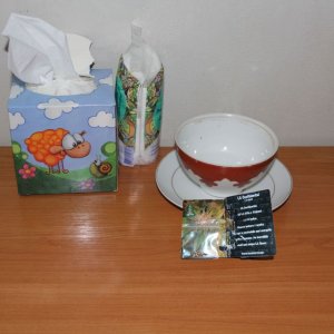 IMG 9976
