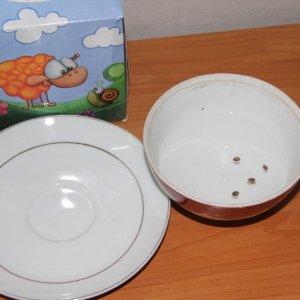 IMG 9977