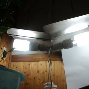 DSC05258