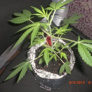 CIMG0121