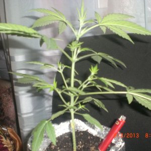 CIMG0122