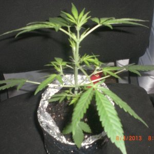 CIMG0123