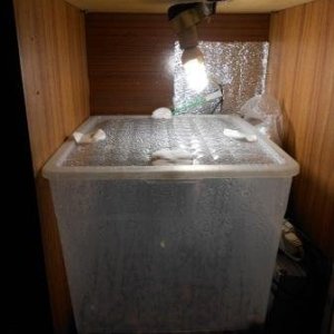 DSCN1594