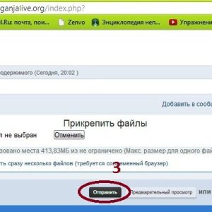 Безымянный1