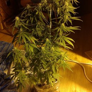IMAG0444
