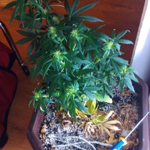IMAG0456