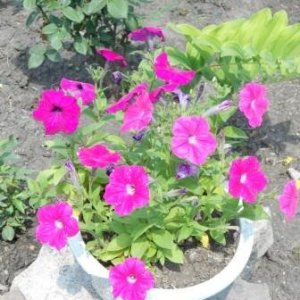 DSCN1866